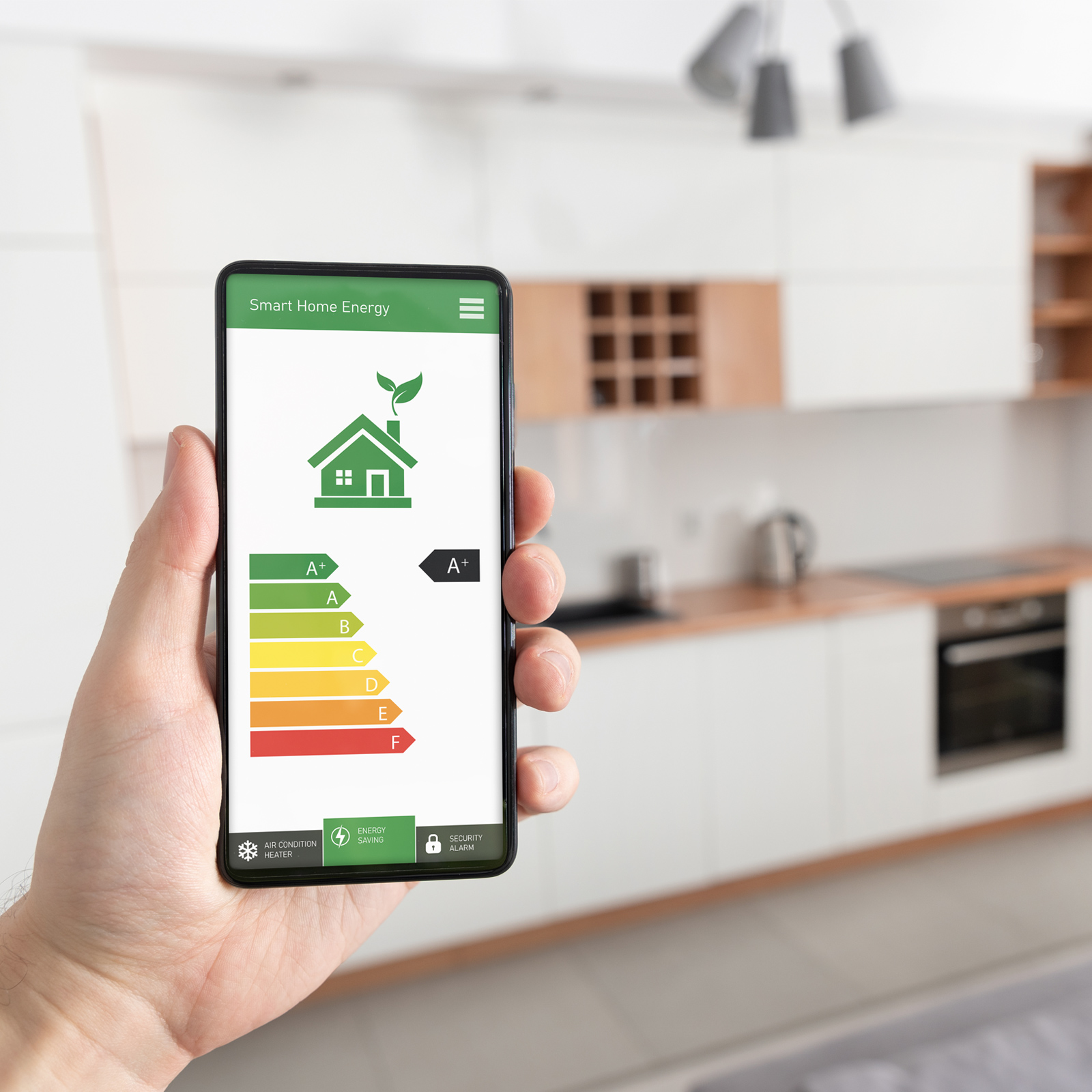 Energy Efficient Home