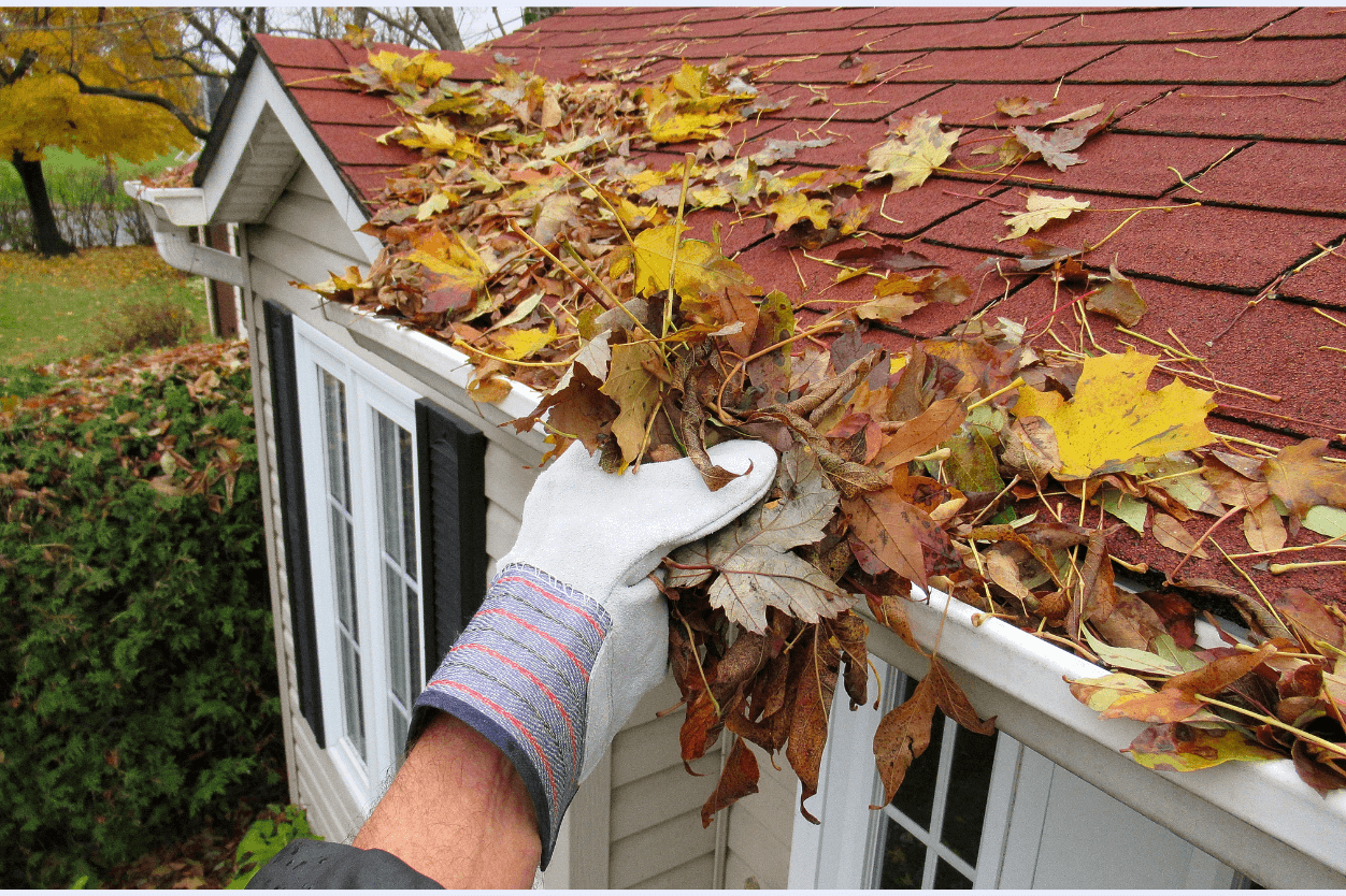 fall property maintenance