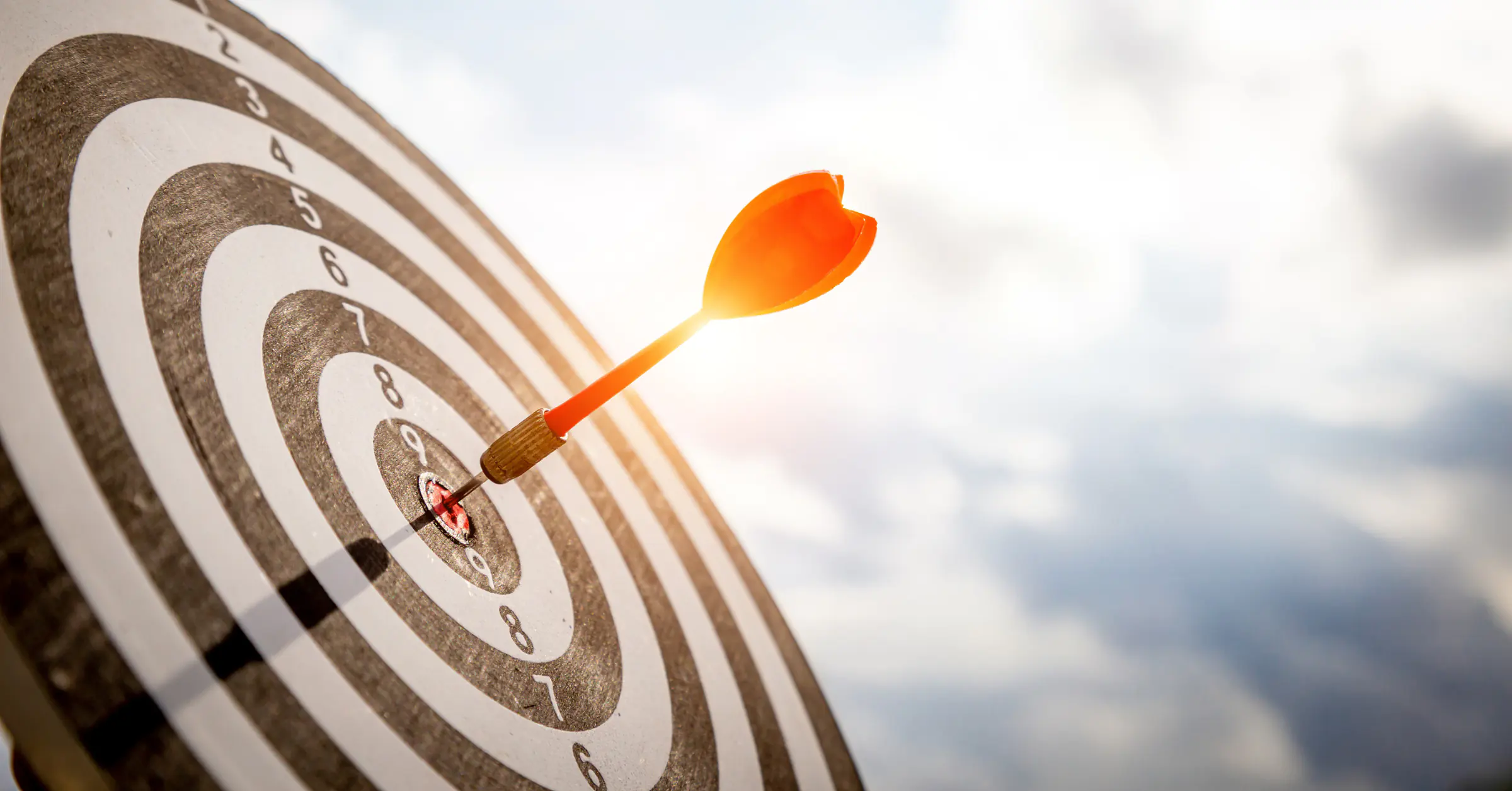 Targeted Marketing Efforts